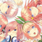 The Quintessential Quintuplets - OrbiTopia